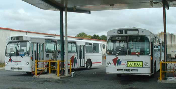 Go-bus Mercedes O305 NZMB 59 & 61